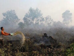 Ogan Ilir Miliki 32 Desa Rawan Karhutla