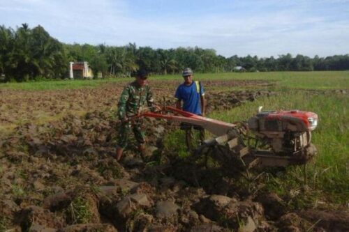 Musim Tanam Gadu Tiba, Babinsa 02 Koramil Woyla Bantu Petani Olah Lahan
