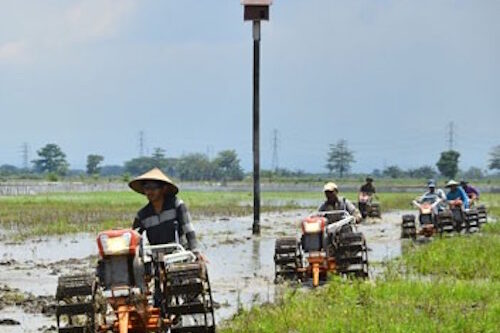 Wagub Sumbar Minta Surat Edaran Gubernur Dijadikan Motivasi Petani