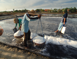 Rasa Asin yang Diburu dan Langka di Pasar Indonesia