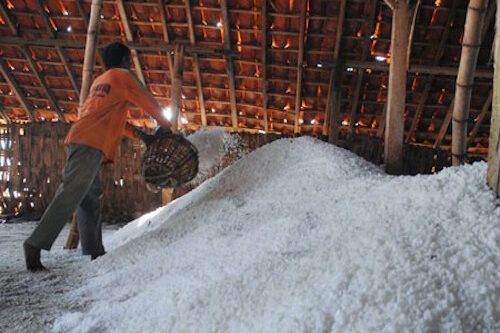 KIARA Sebut Garam Impor Lebih Murah 10 Persen