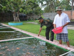 Bios 44 Juga Bisa Membuat Air Kolam Ikan Tetap Jernih