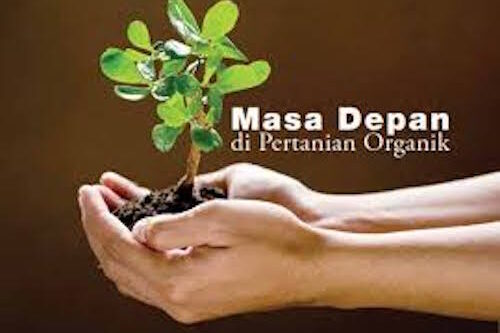 SISTEM PERTANIAN ORGANIK MENDESAK DIKEMBANGKAN
