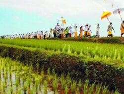 Thailand Tertarik Kerja Sama Pertanian dengan Bali