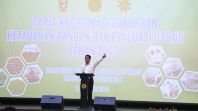 Mentan: Indonesia Sudah Swasembada Pangan 4 Komoditas