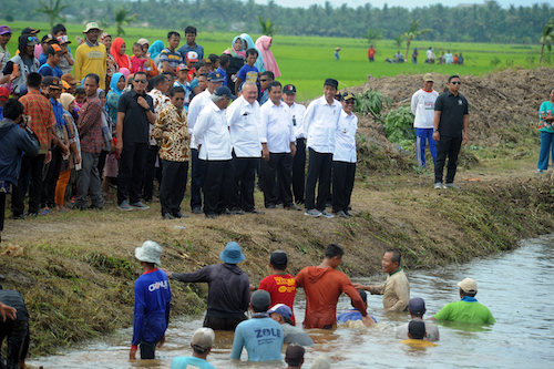 Tinjau Padat Karya, Jokowi Harapkan Ada Peningkatan Perekonomian