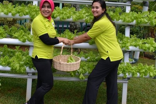 Persit KCK Koorcab Rem 044 Panen Sayuran Hidroponik