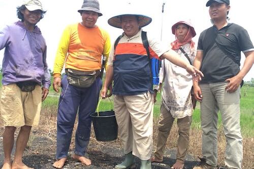 Arah Pembangunan Pertanian Sudah Benar, Tata Niaga Tinggal Dibenahi