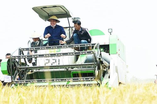 Herman Deru Optimis Sumsel Kembali Menjadi Lumbung Pangan Nasional