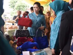 Kunjungi Kelurahan Dukuh dan Srimulya, Feby Deru Sosialisasi Program PKK