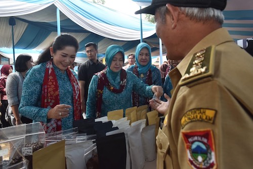 Feby Deru Ingatkan PKK Rajin Update Data Administrasi