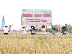 Herman Deru Dorong Empat Lawang Jadi Lumbung Pangan Sumsel