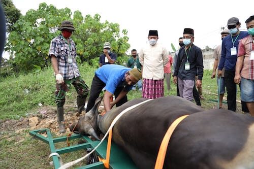 Dari Masjid Ke Masjid, Herman Deru Pastikan Panitia Kurban Patuhi Prokes Covid-19