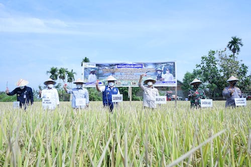 Herman Deru Optimis Sumsel Segera Capai Target, Sebagai Daerah Lumbung Pangan Nasional