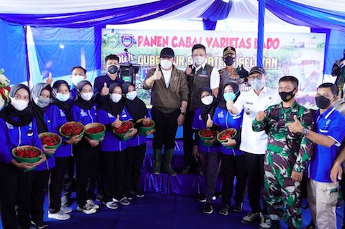 Herman Deru Semangati Warga Olah Cabai Lado Gerakkan Ekonomi di Desa-Desa