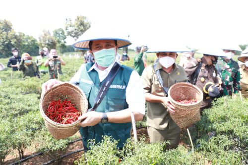 GSMP Ikut Berperan Turunkan Angka Kemiskinan Sumsel