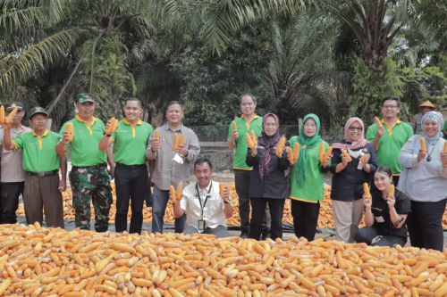 SKK Migas-Pertamina EP Limau Panen Jagung di Muara Enim