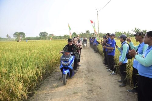 Dorong Kemandirian Pangan Warganya, Herman Deru Sosialisasikan GSMP Sampai ke Desa-desa