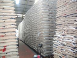 Harga Beras Indonesia Termahal se ASEAN, Loh Kok Bisa ?