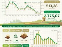 Panen Padi Sumsel Meningkat Tahun 2022