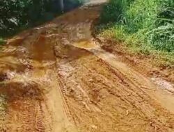 Miris, Jelang Usia 78 Tahun NKRI, Namun Warga Desa Talang Beringin Masih Dikepung Jalan Penuh Lumpur dan Minim Akses Komunikasi